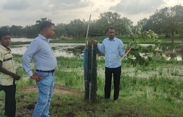 চাঁপাইনবাবগঞ্জের শিবগঞ্জে রাস্তার পাশের গাছ কেটে ফেলেছে দুর্বৃত্তরা