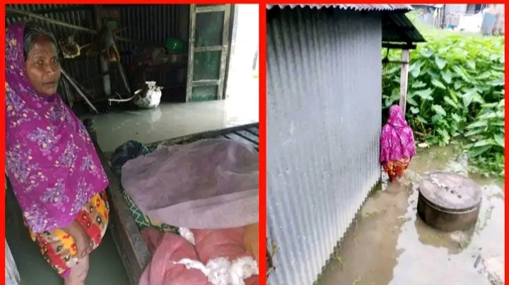 হোসেনপুর পৌরসভার ২ নম্বর ওয়ার্ডে জলাবদ্ধতা: অর্ধশতাধিক পরিবার চরম দুর্ভোগে