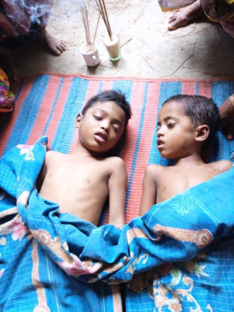 সুনামগঞ্জের শাল্লায় পুকুরের পানিতে ডুবে ২ শিশুর মৃত্যু