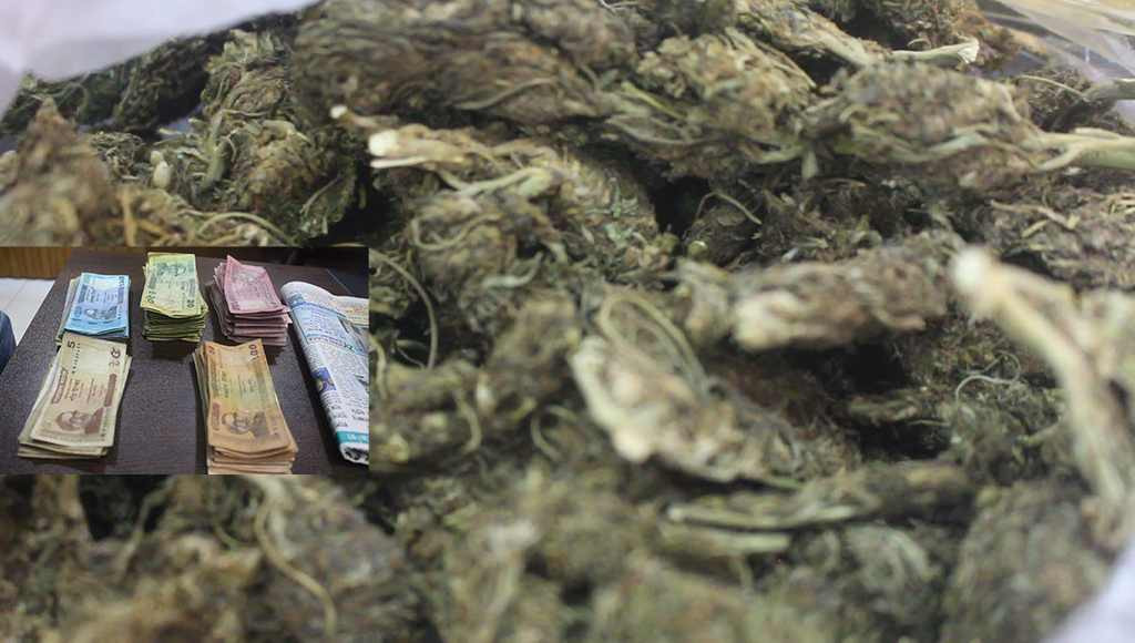 বদলগাছী থানা পুলিশের অভিযানে এক নারী মাদক কারবারি আটক