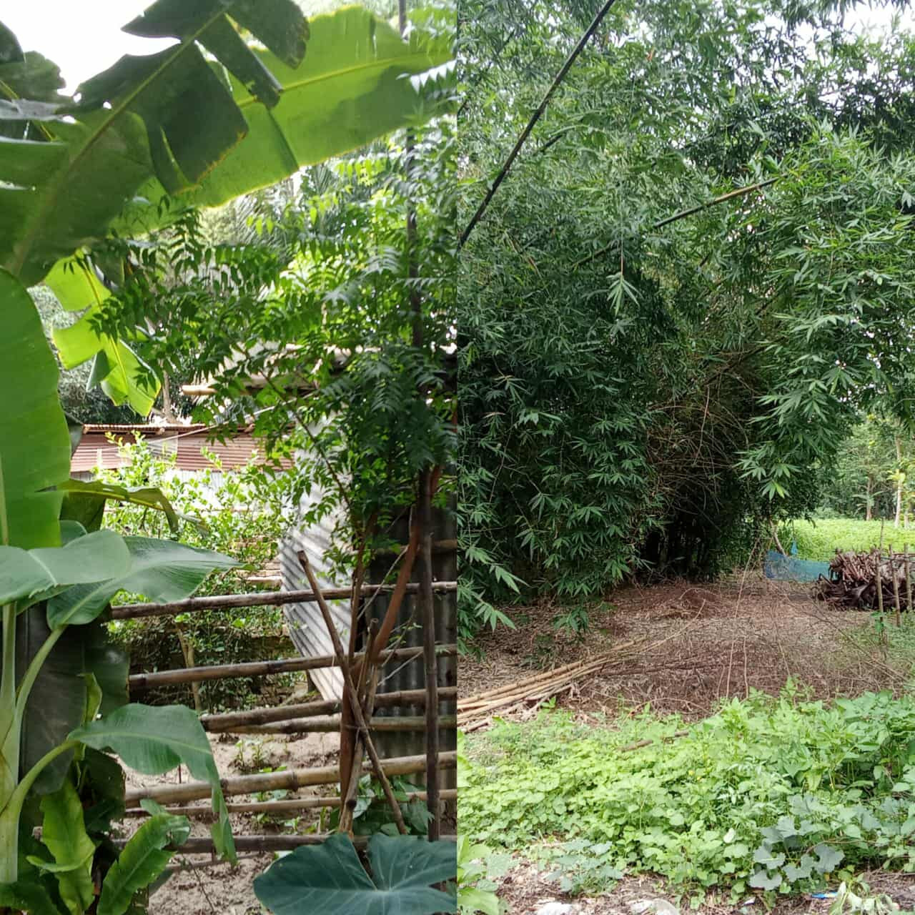 প্রায় ৩০ বছেরর শত্রুতা চলছে এখনো,   পায়নি কোনো ন্যায় বিচার ভুক্তভোগীরা,,  তাদের প্রশ্ন ন্যায় বিচার কি পাবো না ?