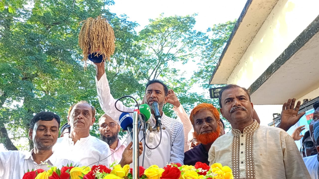 মধ্যনগরে আনিসুল হক এর ধানের শীষের প্রচারণা ও আনন্দ মিছিল অনুষ্ঠিত,