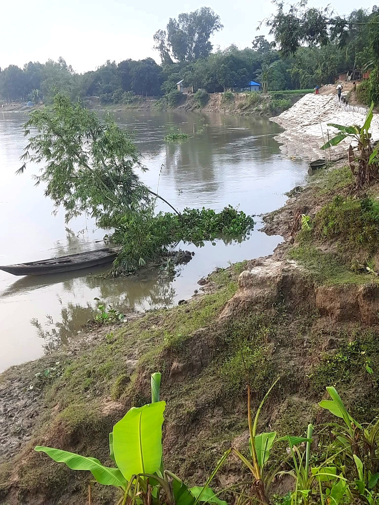 চাঁদাবাজের চাপ ও দৌরাত্বে অতিষ্ঠ ঠিকাদার, পলাশবাড়ীতে পাউবোর নদী ভাঙন রোধ প্রকল্পের কাজ বন্ধ