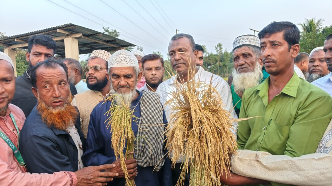 সুনামগঞ্জ-৪ আসনে ধানের শীষের সম্ভাব্য প্রার্থী এড. নুরুল ইসলানের নেতৃত্বে রঙ্গারচর ইউনিয়নে দিনব্যাপী লিফলেট বিতরণ।