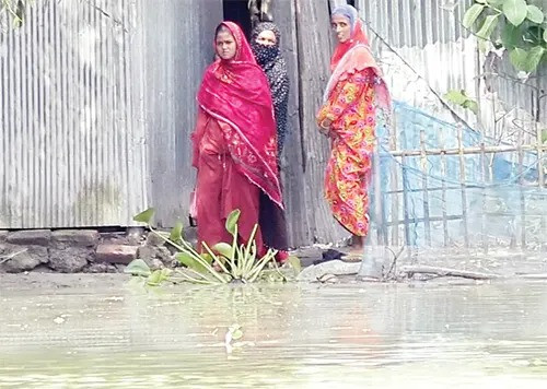 উজানের পাহাড়ি ঢলে রংপুরে  তিস্তা নদীর পানি বিপদসীমার উপরে : কাটেনি আতঙ্ক